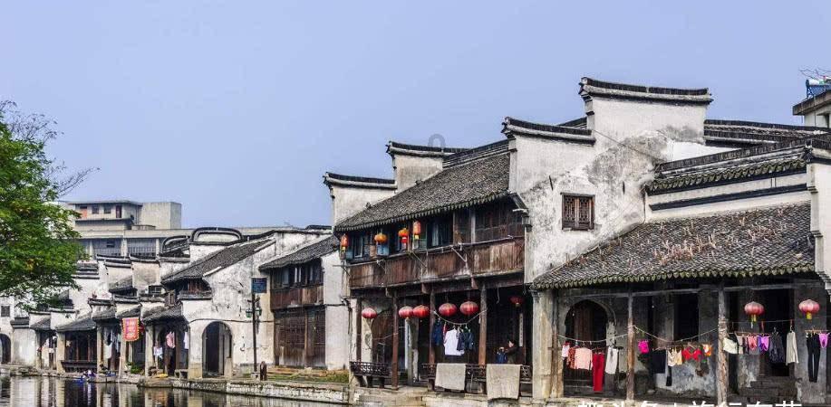 探索买房当猫宅被邻居投诉,有猫人士给你带来过哪些“麻烦”?,解答你的疑问